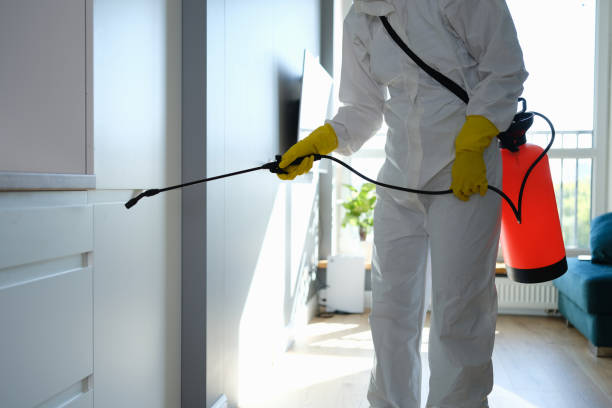Best Commercial Mold Remediation in Bloomington, MN